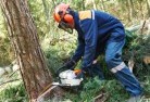 Shannon Valetree-cutting-services-21.jpg; ?>